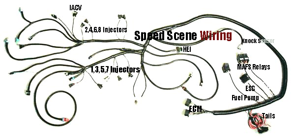 1985-89 MAFS TPI Wire Harness 1985-89 MAFS TPI Wire Harness