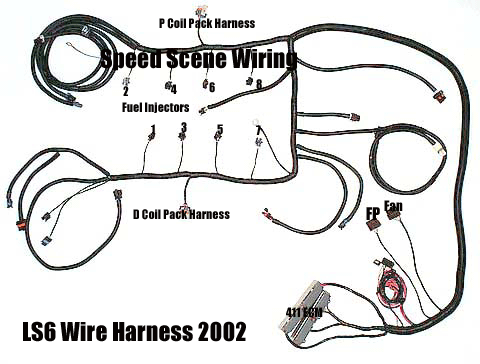 LS1 Wire Harness 1997-2002